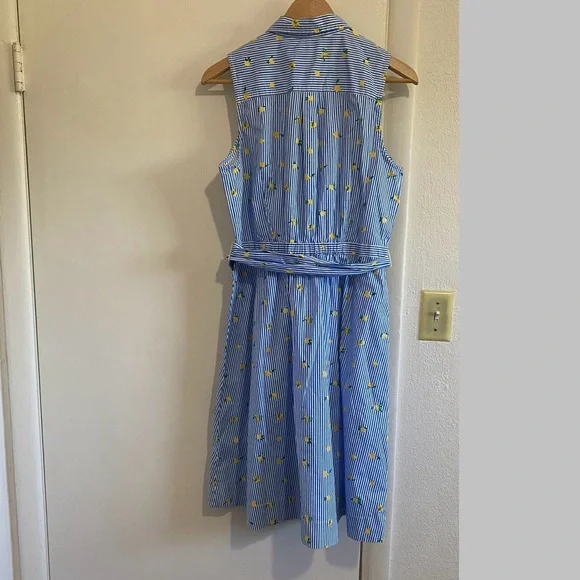 J.Crew Lemon Print Shirt Dress Blue Striped Sleeveless Belted Summer Size 10 - Picture 4 of 10